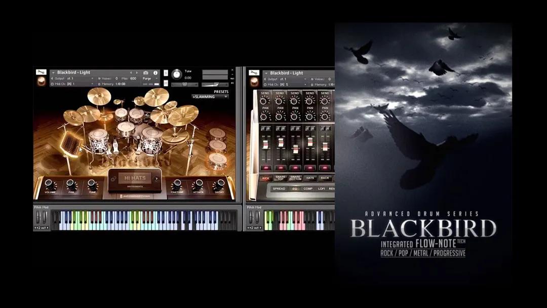 8DiO Advanced Drum Series Blackbird KONTAKT