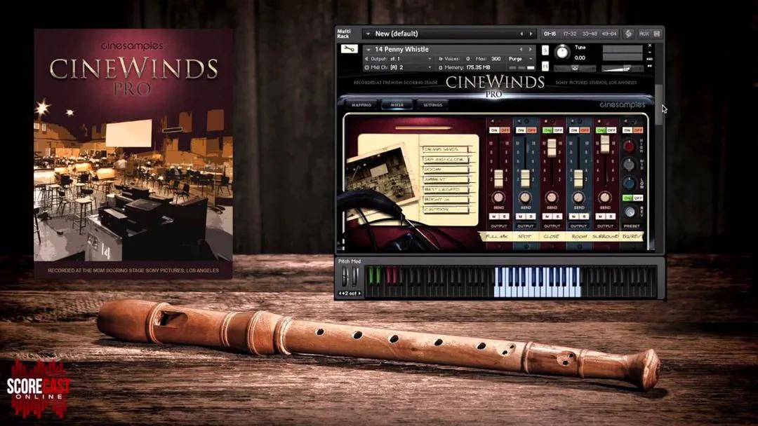 Cinesamples - CineWinds Pro