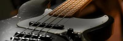 Native Instruments - Session Bassist - Jam Bass