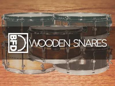 FXpansion - BFD Wooden Snares (16 GB)