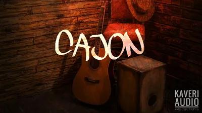 Kaveri Digital Studio - Cajon (Kontakt)