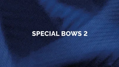 Orchestral Tools - Berlin Strings EXP B Special Bows II