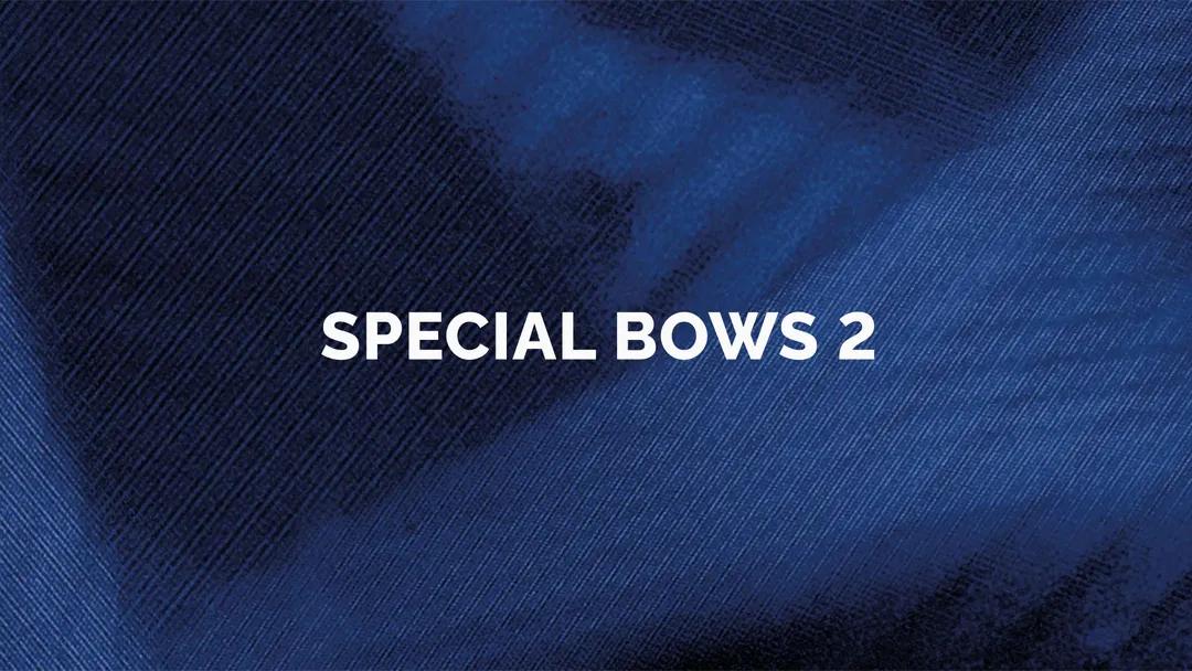 Orchestral Tools - Berlin Strings EXP B Special Bows II