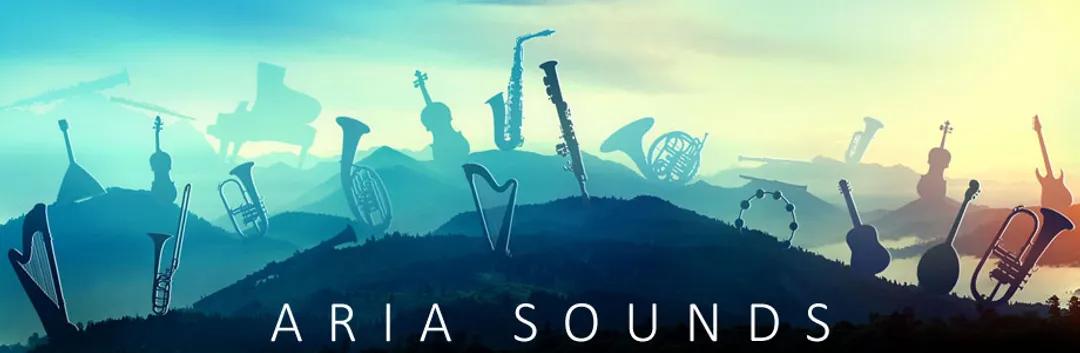 Aria Sounds : Ethnic Flutes Bundle (Xiao Flute, Bansuri Flute) Kontakt