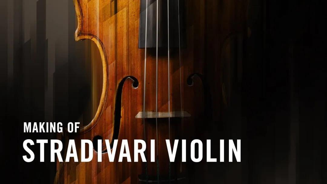 Native Instruments - Stradivari Violin KONTAKT
