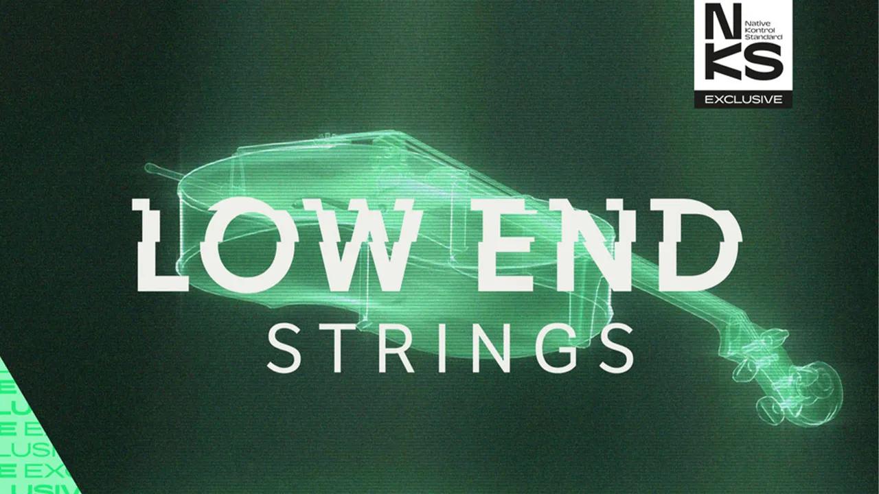 Native Instruments - Low End Strings