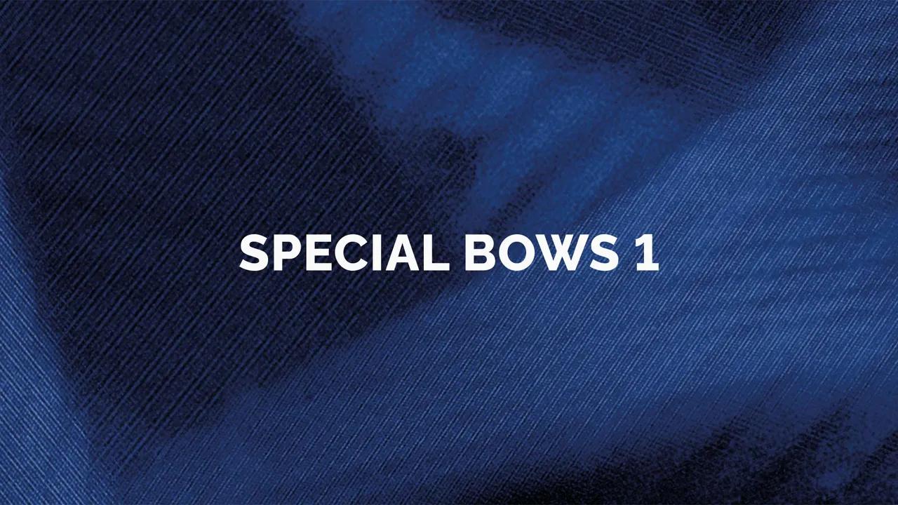 Orchestral Tools - Berlin Strings EXP A Special Bows I