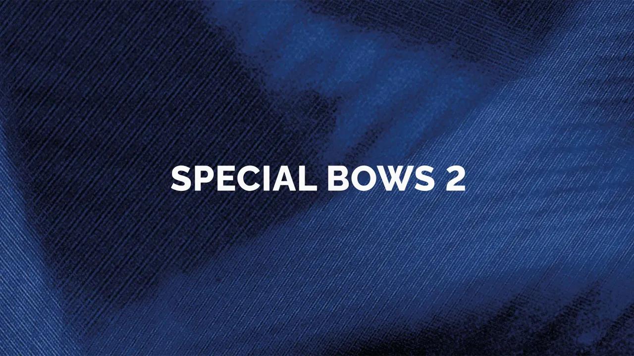 Orchestral Tools - Berlin Strings EXP B Special Bows II