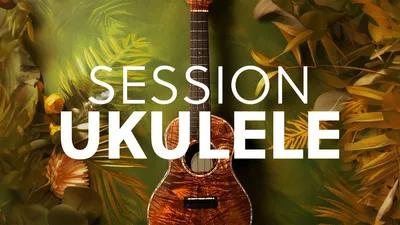 Native Instruments - Session Ukulele