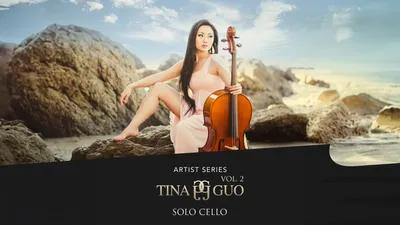 Cinesamples - Tina Guo vol 2
