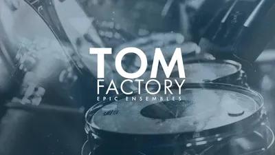 Fracture Sounds - Tom Factory