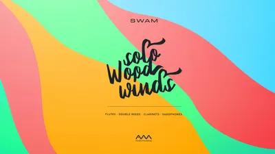 Audio Modeling - Swam Solo Woodwinds Bundle v3