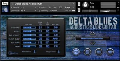 Indiginus : Delta Blues Acoustic Slide Guitar
