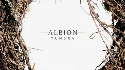 Spitfire Audio - Albion V Tundra